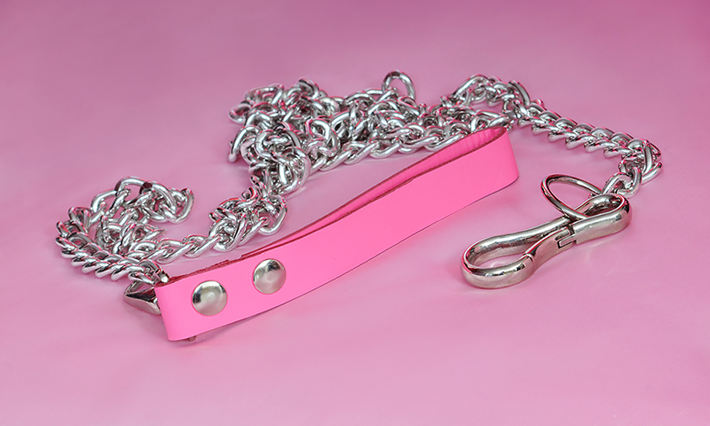 bondage dog leash pink 4